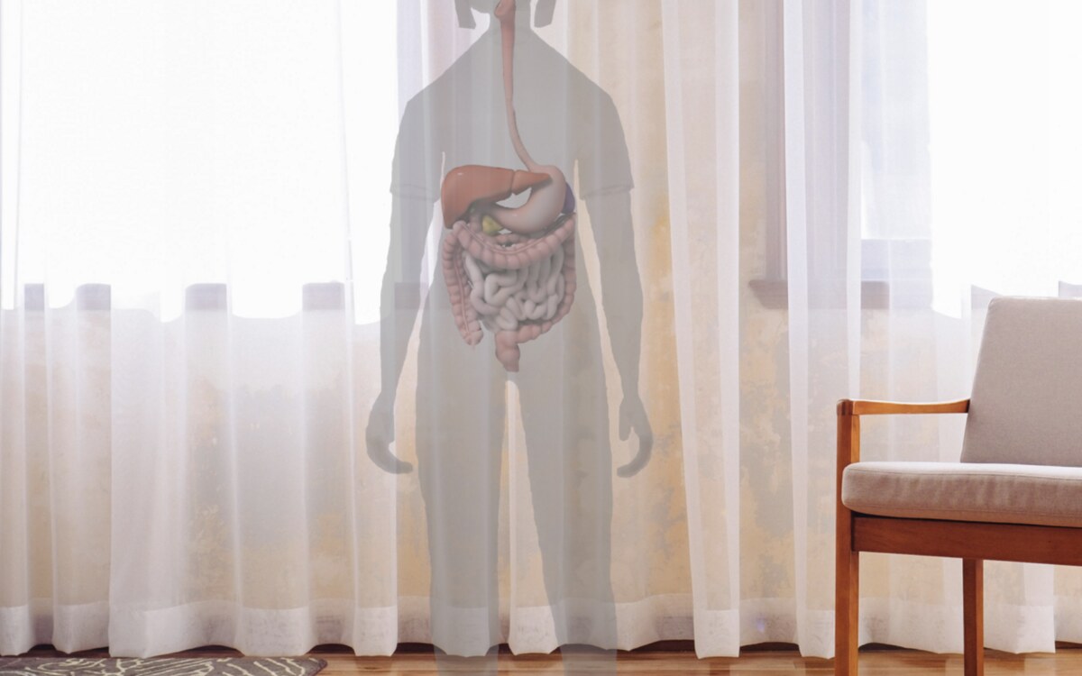 Gutwise AR view showing the digestive system inside a body in a real room