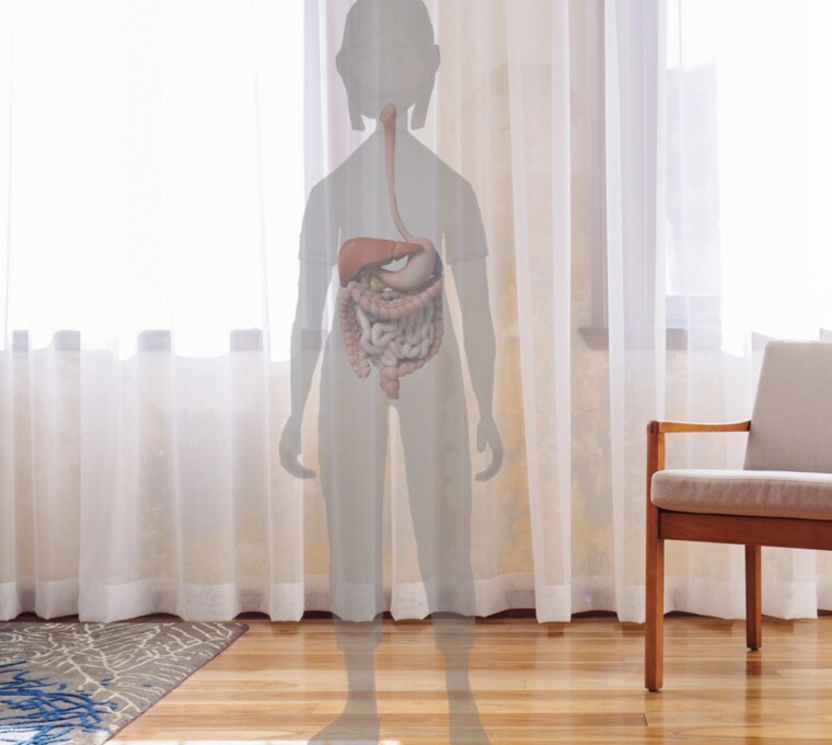 Gutwise augmented reality view showing the digestive system inside a body